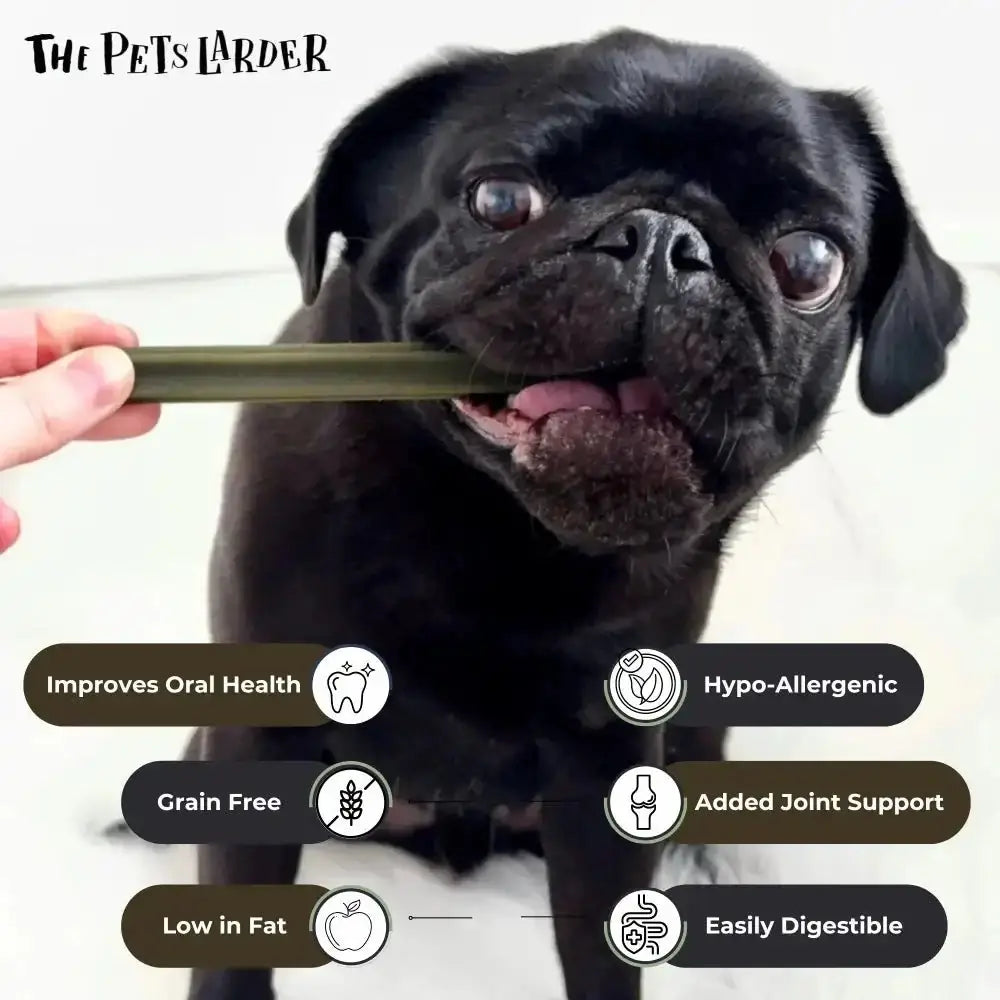 Black pug chew stick with Green Label for dogs, Spinach and Cranberry Chew Stick