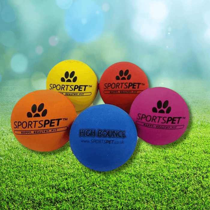 Sportspet Tough Bounce - Dog Toys