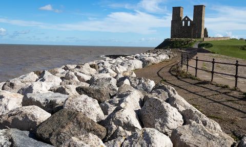 Dog Walks Kent South East