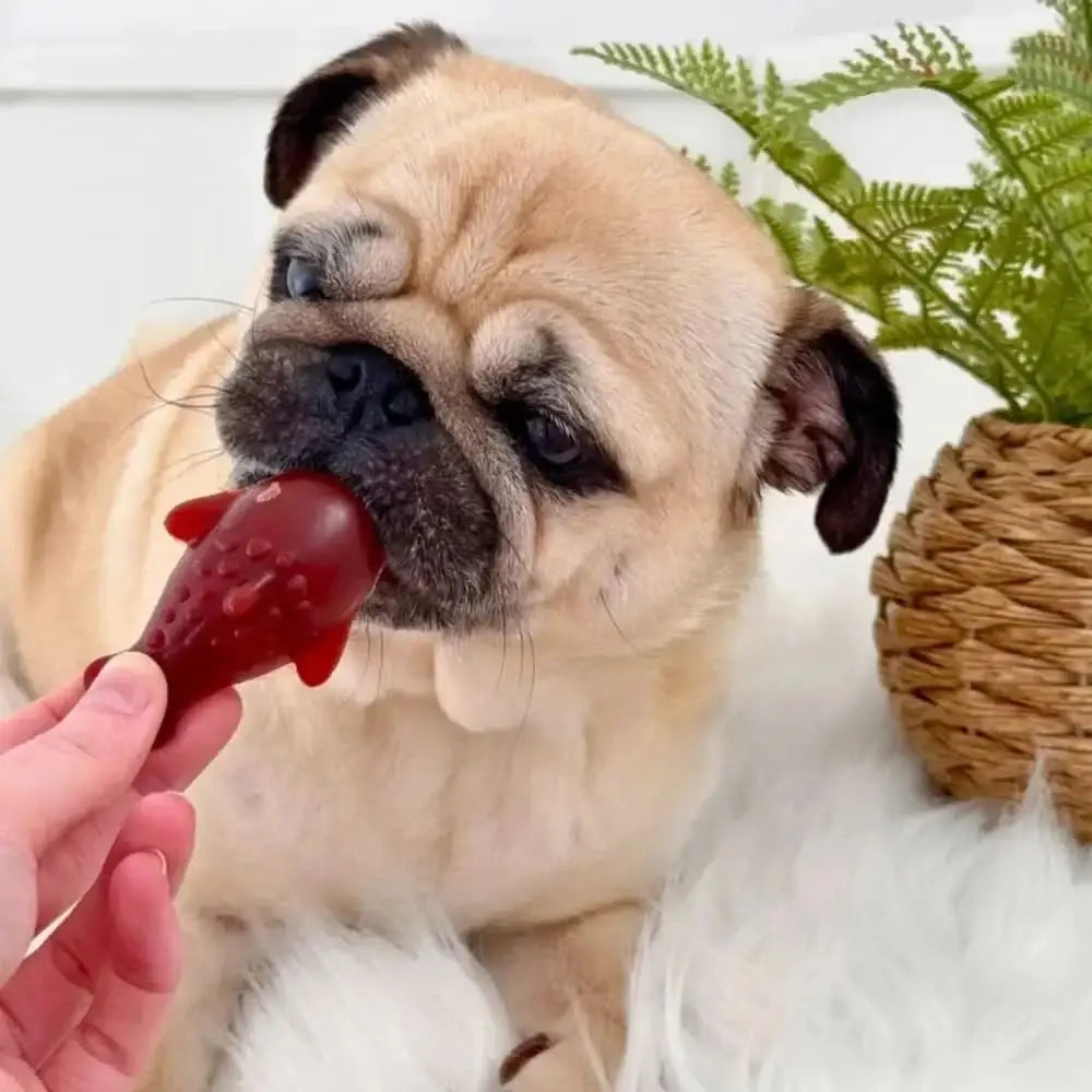 Red Strawberry Dog Toy with Banana Dolphin Vegetable Design