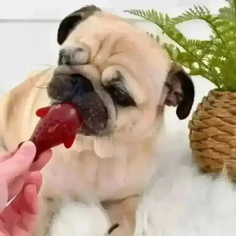 Red Strawberry Dog Toy with Banana Dolphin Vegetable Design