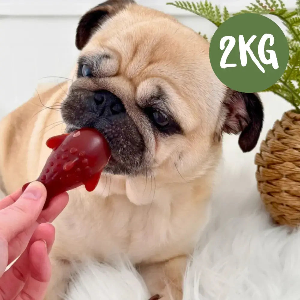 Strawberry & Banana Dolphin Vegetable Chew For Dogs - 2kg Bag - Natural Dog Chew