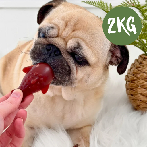 Strawberry & Banana Dolphin Vegetable Chew For Dogs - 2kg Bag - Natural Dog Chew