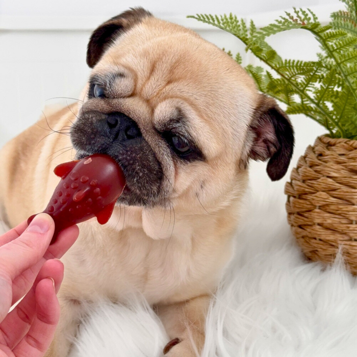 Banana & Strawberry Dolphin Chew for Dogs | Natural vegetable chews for dogs