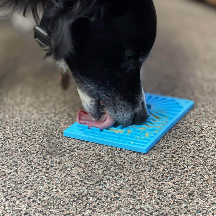 Surf's Up Enrichment Lick Mat