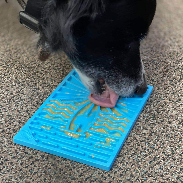 Surf's Up Enrichment Lick Mat