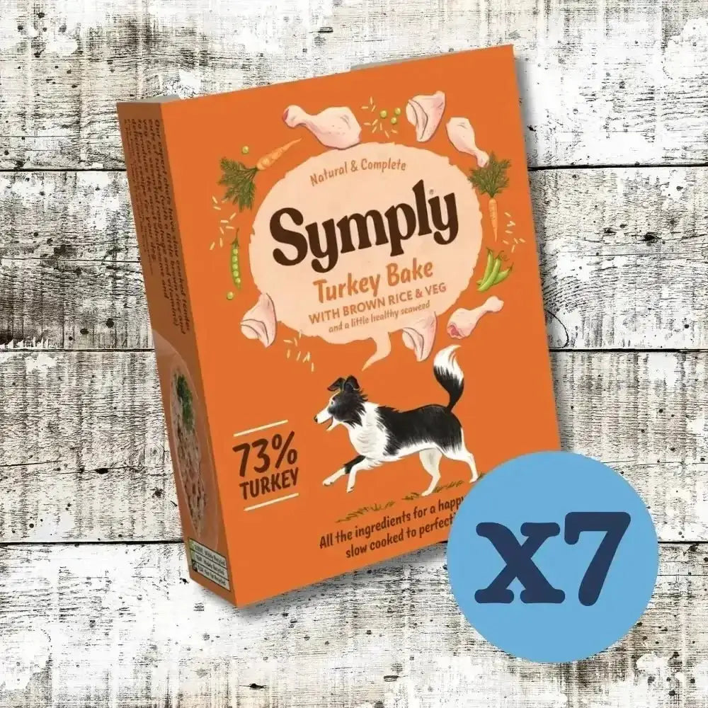 Symply Turkey Bake Adult Wet Dog Food box on orange background