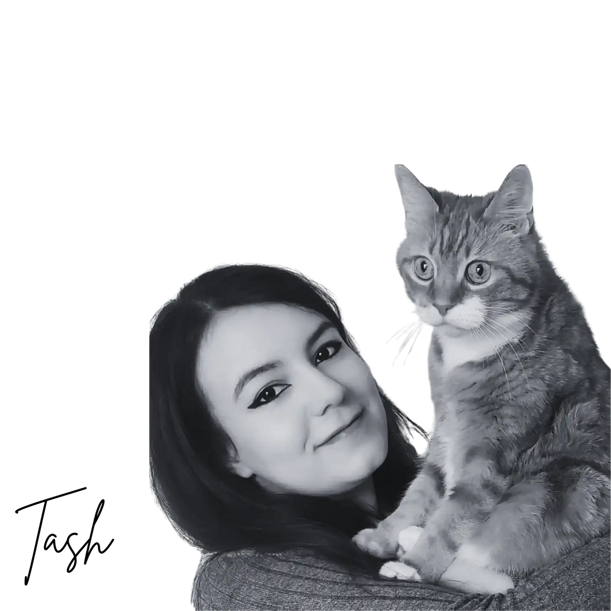 Tabby cat with stripes and fluffy fur, sitting on a person’s lap.