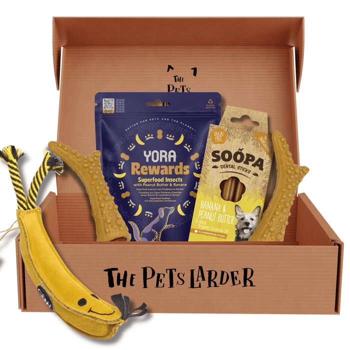 The Bombastic Banana Treat & Toy Bundle For Dogs