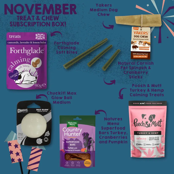 Best Selling Monthly Treat Subscription Box for Dogs