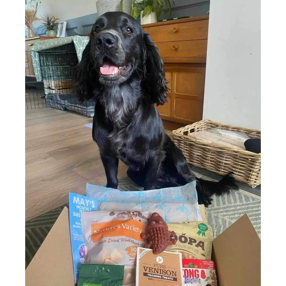 Natural Cornish Pet - Monthly Treat Subscription Box for Dogs Dog Treats Natural Cornish Pet