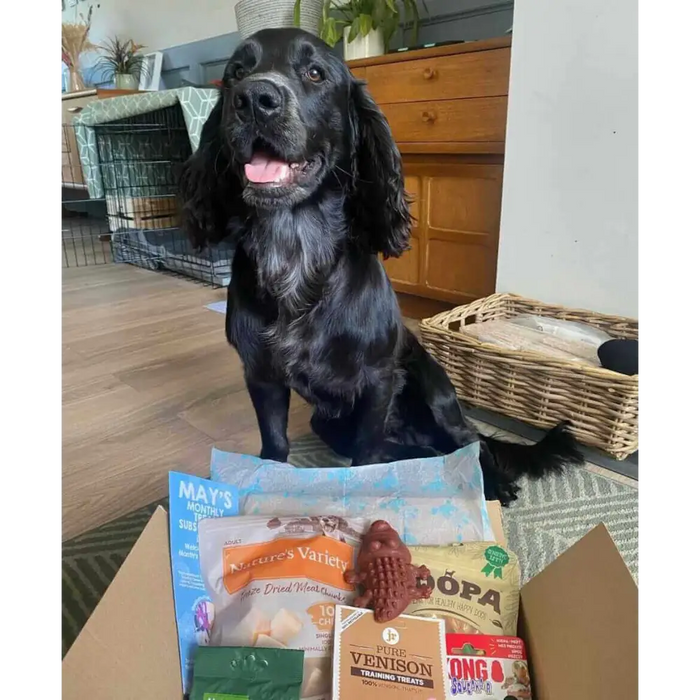 Natural Cornish Pet - Monthly Treat Subscription Box for Dogs Dog Treats Natural Cornish Pet