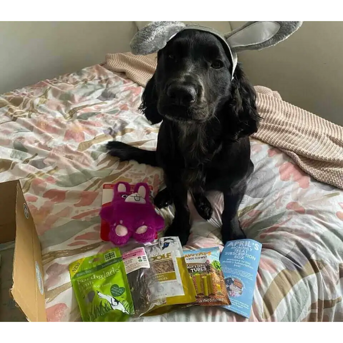Natural Cornish Pet - Monthly Treat Subscription Box for Dogs Dog Treats Natural Cornish Pet