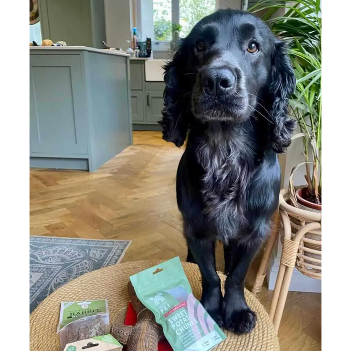 Natural Cornish Pet - Monthly Treat Subscription Box for Dogs Dog Treats Natural Cornish Pet