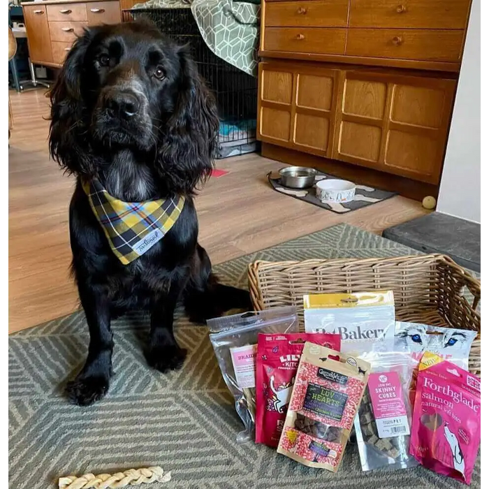 Natural Cornish Pet - Monthly Treat Subscription Box for Dogs Dog Treats Natural Cornish Pet