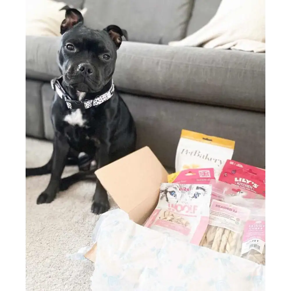 Natural Cornish Pet - Monthly Treat Subscription Box for Dogs Dog Treats Natural Cornish Pet