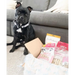 Natural Cornish Pet - Monthly Treat Subscription Box for Dogs Dog Treats Natural Cornish Pet