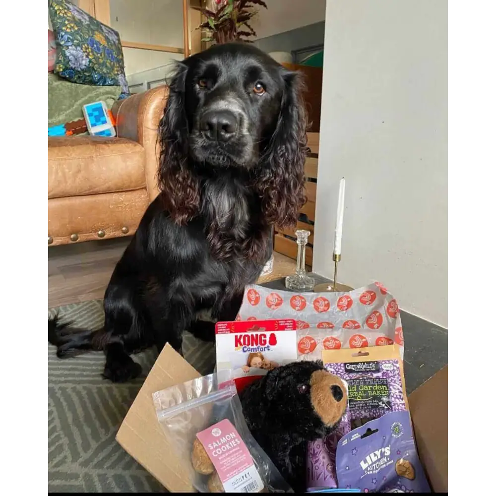 Natural Cornish Pet - Monthly Treat Subscription Box for Dogs Dog Treats Natural Cornish Pet
