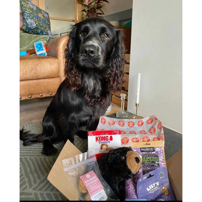 Natural Cornish Pet - Monthly Treat Subscription Box for Dogs Dog Treats Natural Cornish Pet