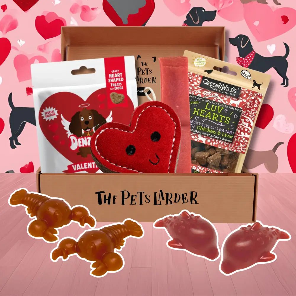 Valentine’s day themed pet treat box from The Pets Larder with heart-shaped treats and toys for dogs