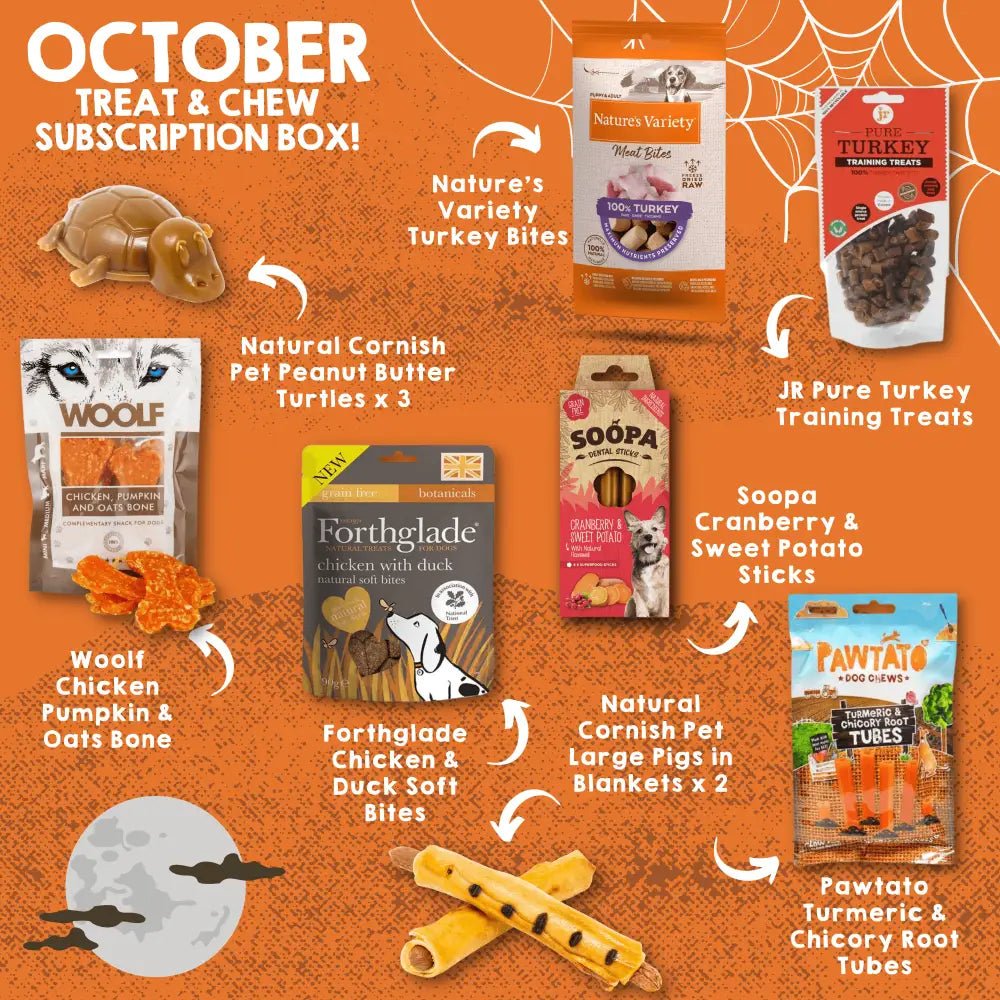 Woolf chicken pumpkin oats bone chew toy for small pets in The Pets Larder monthly treat box