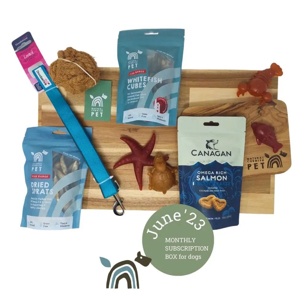 Blue dog treat bag with white text and rainbow design for The Pets Larder monthly treat box