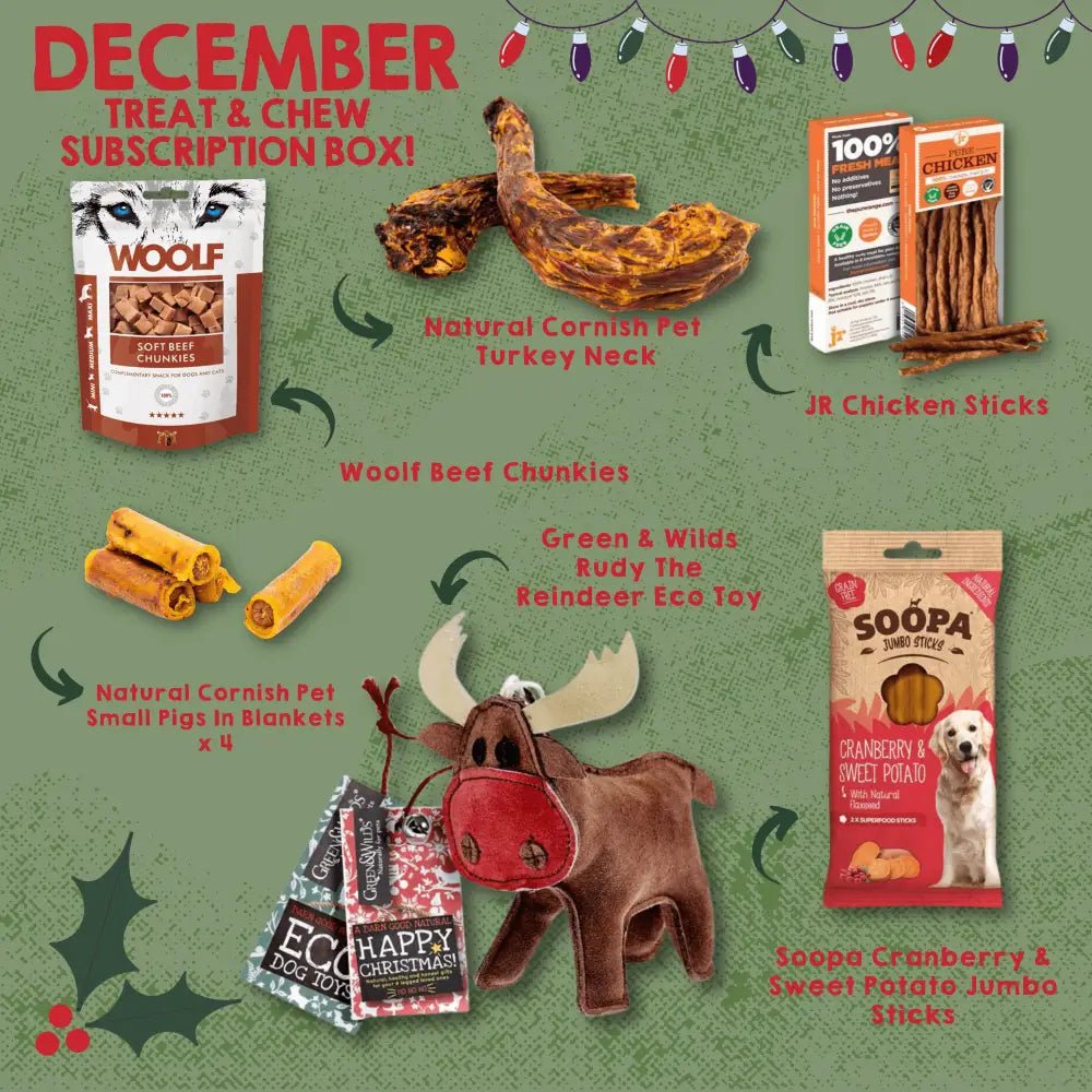 Red reindeer eco toy with green antlers and brown plush fur for The Pets Larder monthly treat box