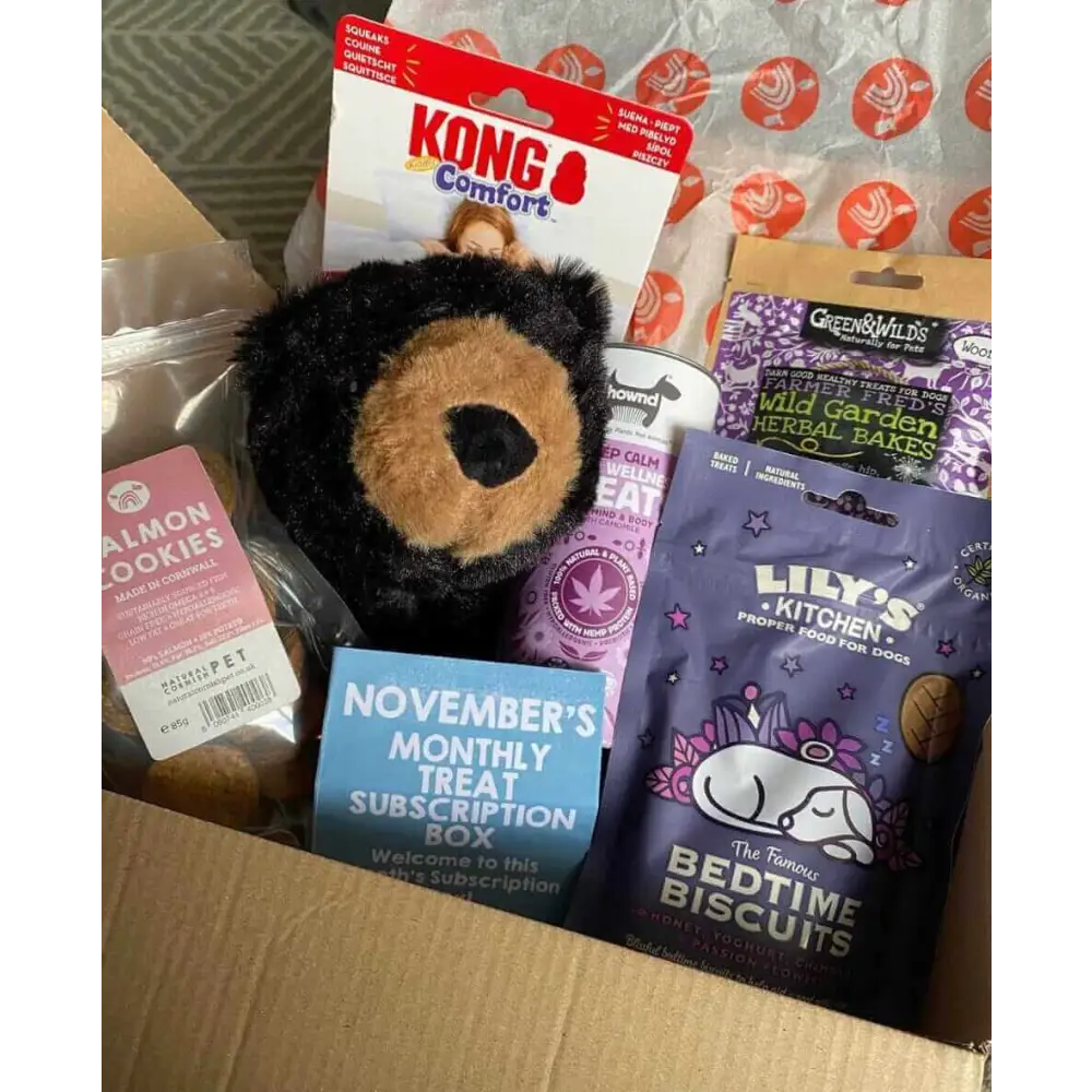 Black plush bear toy with brown accents and white belly for The Pets Larder monthly treat box