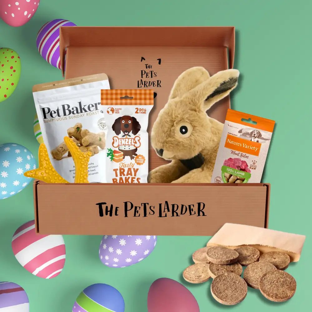 Easter-themed pet treat box with plush bunny, colorful eggs, and treats for The Pets Larder monthly treat subscription