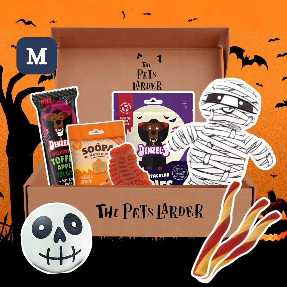 Halloween-themed pet treat box featuring Denzels Creepy Cuties Rope Skeleton for monthly treats
