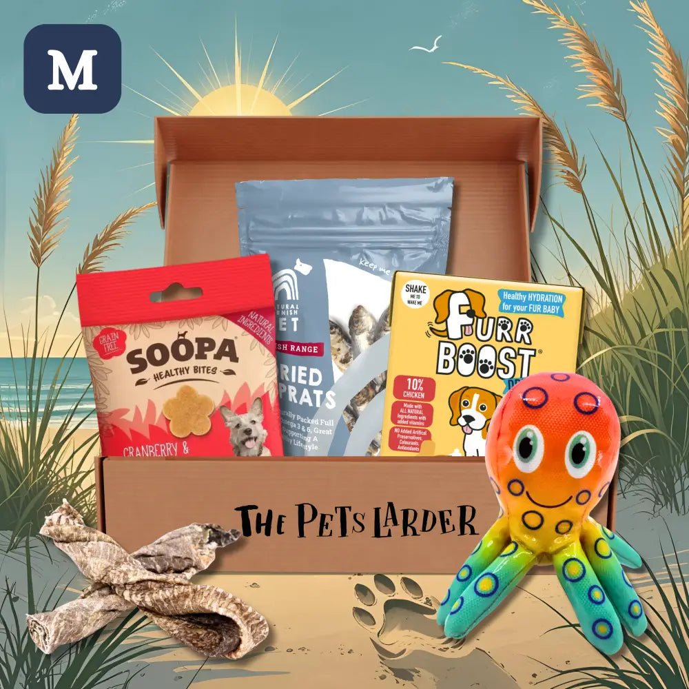 Octopus plush toy with colorful polka dots from The Pets Larder monthly treat box