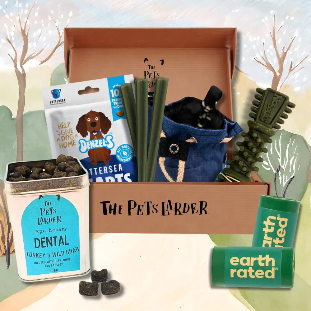 Earth rated pet care kit box with assorted items including creepy cuties rope and cuties rope skeleton for medium dogs