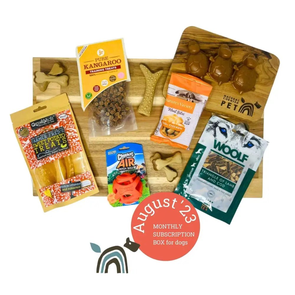 Dog treat subscription box with treats and toys including a bone-shaped snack and creepy cuties rope