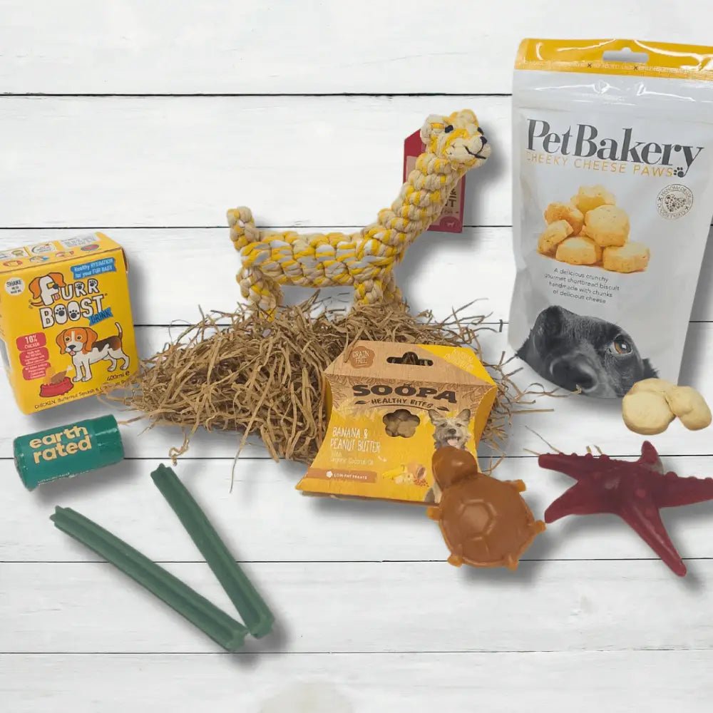 Corn cob dog toy with yellow kernels and brown husk from The Pets Larder monthly treat box