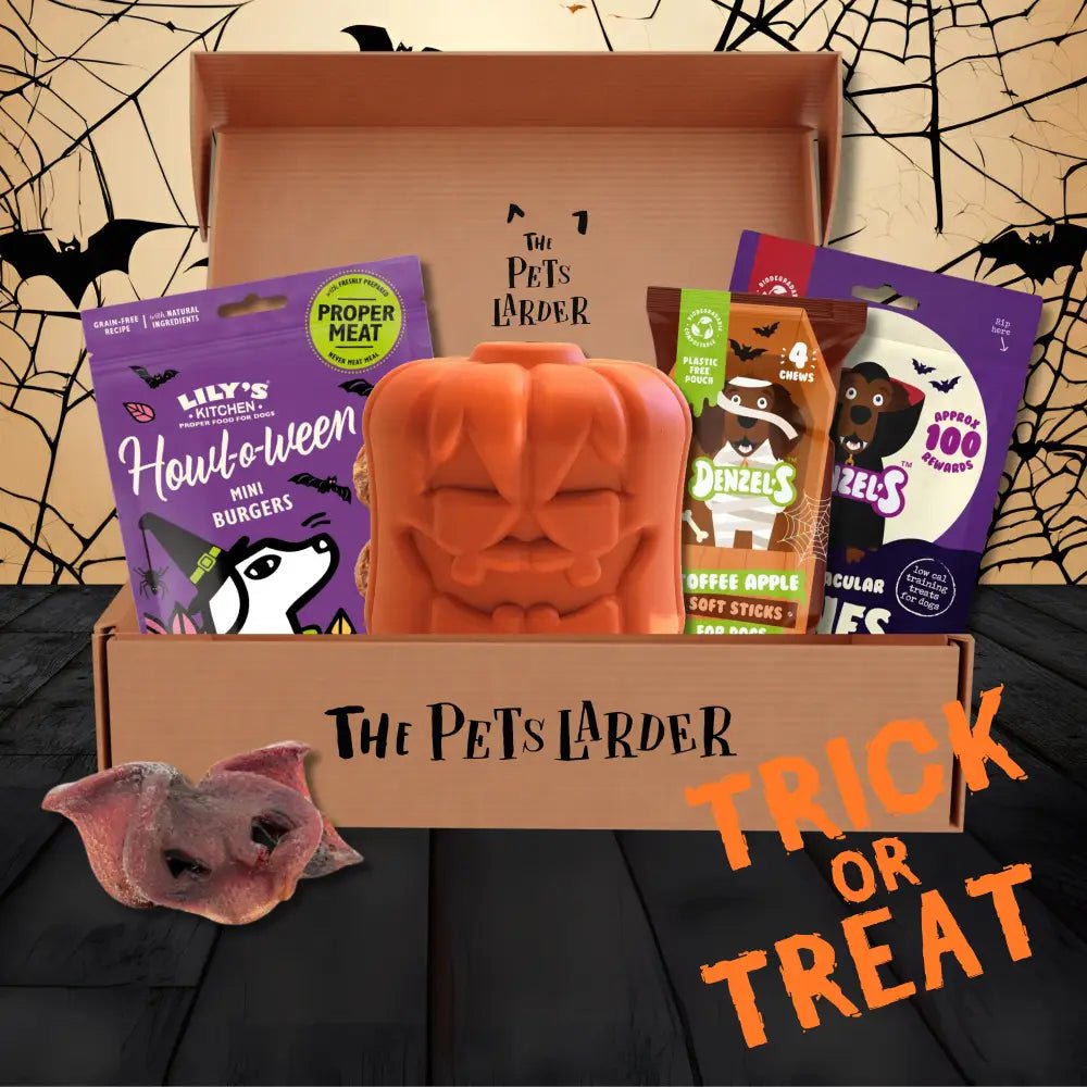 Halloween-themed pet treat box with assorted treats and a pumpkin toy from The Pets Larder monthly treat subscription
