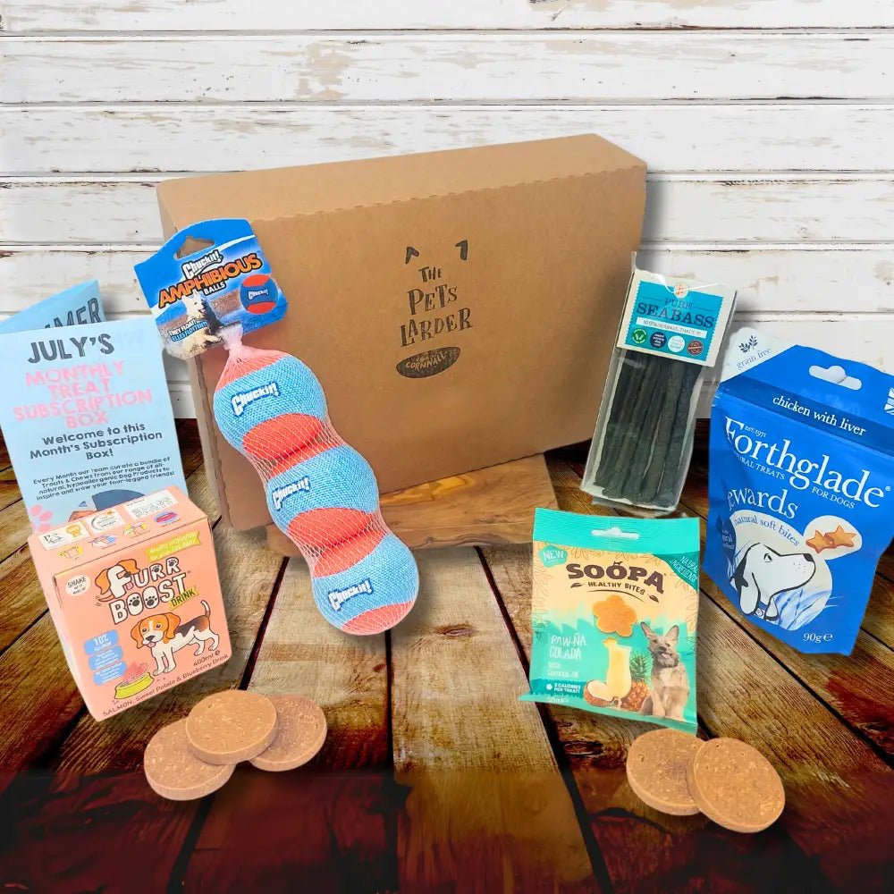 Pet care subscription box with dog treats, toys, and accessories including creepy cuties rope