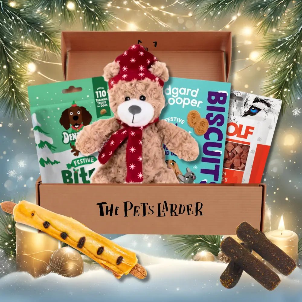 Teddy bear plush toy with red scarf and hat, ideal for The Pets Larder monthly treat box