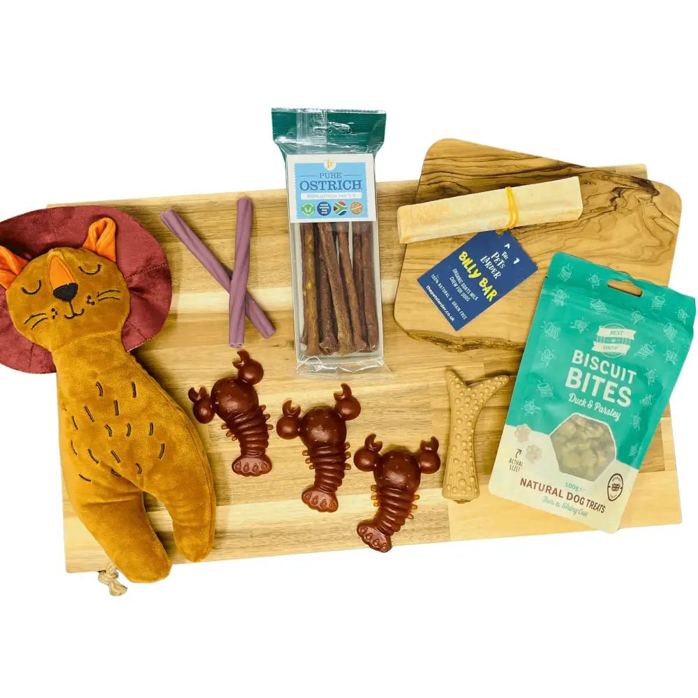 Orange plush lion toy with a smiling face from The Pets Larder monthly treat box