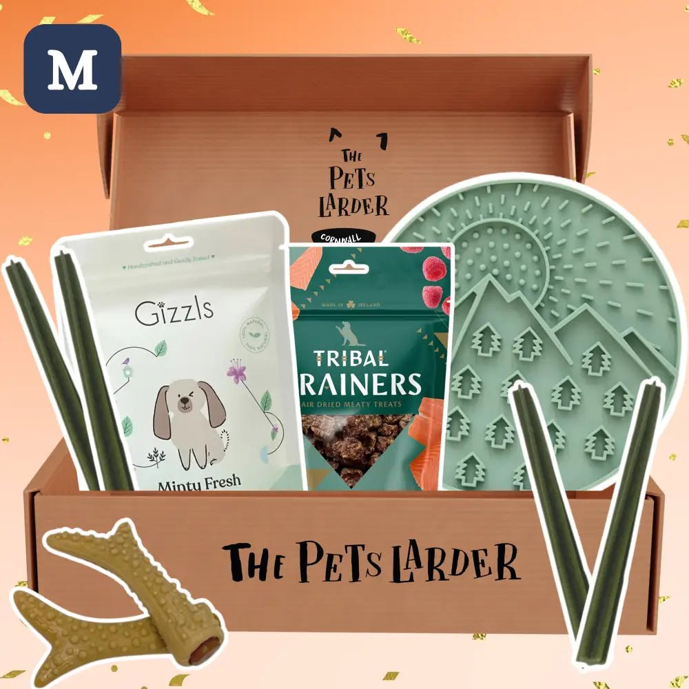 The Pets Larder monthly dog treat box with skeleton joe and denzels toffee apple sticks