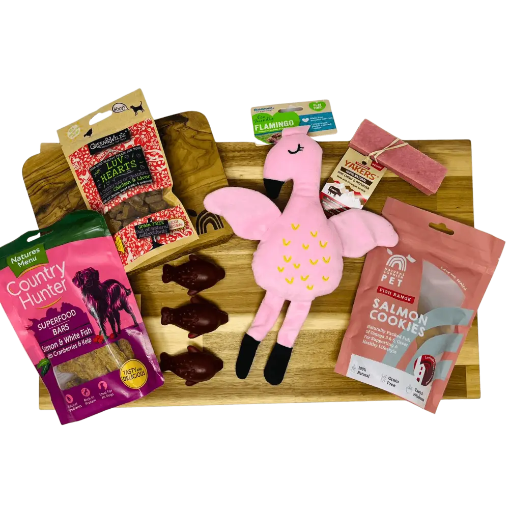 Pink flamingo plush toy with yellow feet and black eyes from The Pets Larder monthly treat box