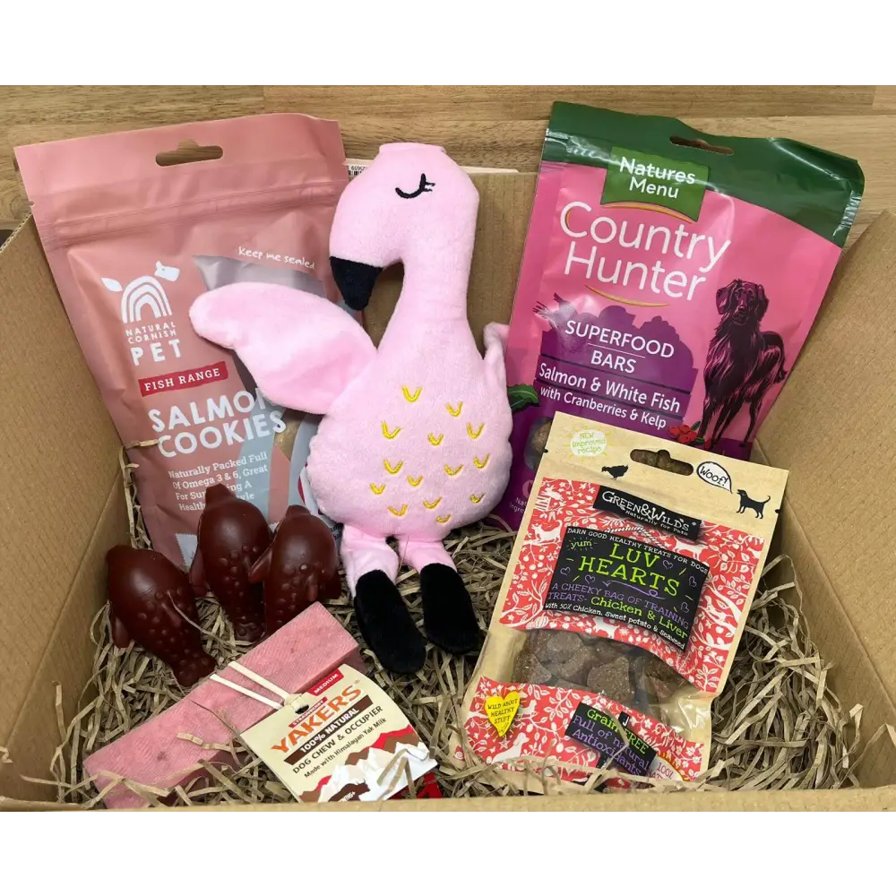 Pink flamingo plush toy with yellow heart for The Pets Larder monthly treat box