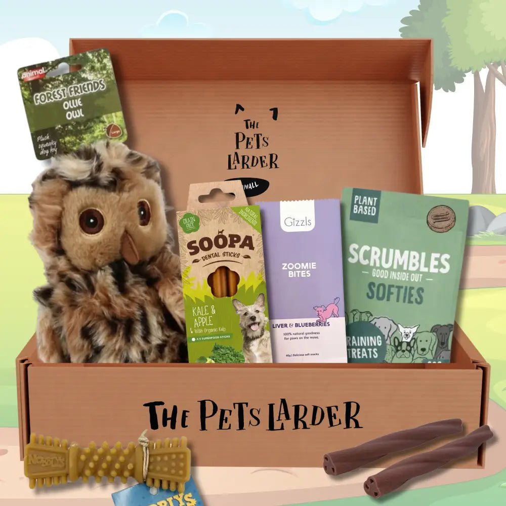 Brown plush owl toy with green eyes, textured body for pets, in The Pets Larder monthly treat box