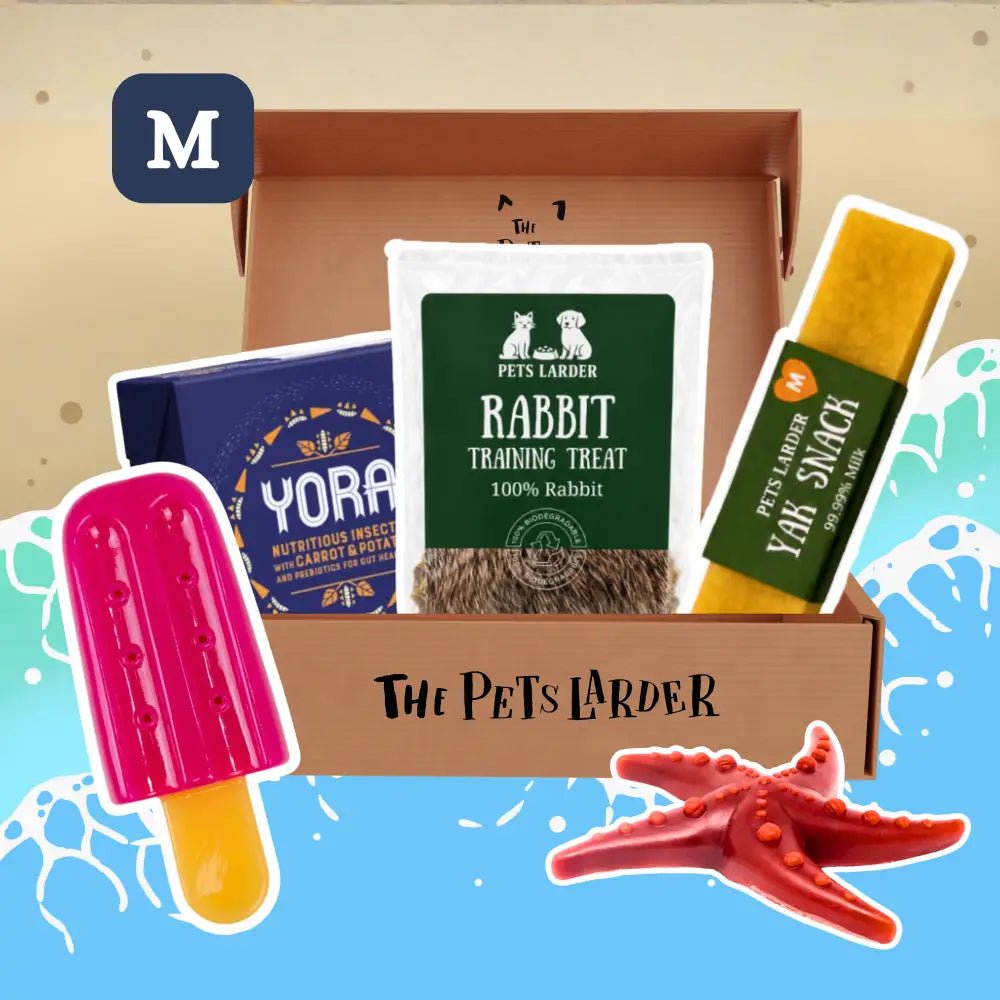 The Pets Larder - Monthly Treat Subscription Box for Dogs Medium - Natural Treats | Pet Shop