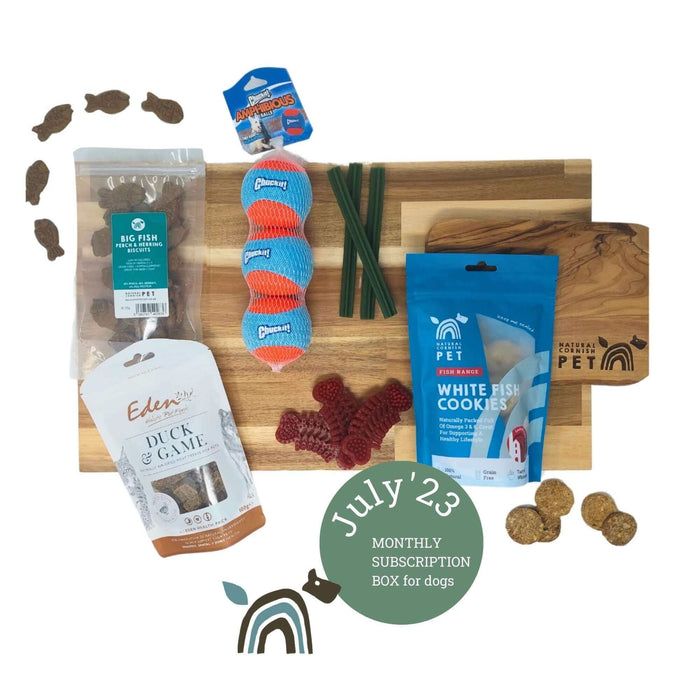 Best Selling Monthly Treat Subscription Box for Dogs