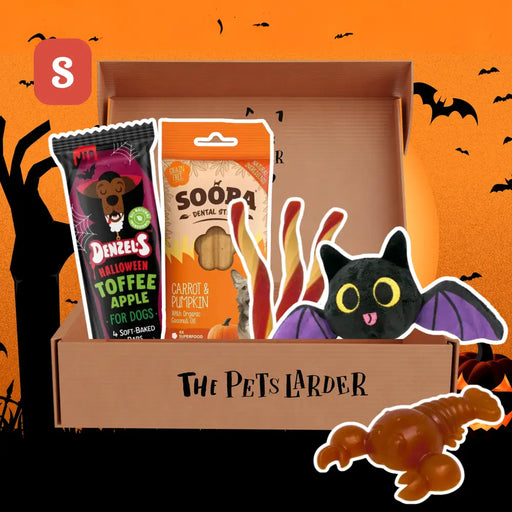 Halloween-themed pet treat box with two packages and a black bat plush toy on an orange background with bats and pumpkins.