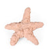 Recycled Rubber Starfish Dog Treat Toy