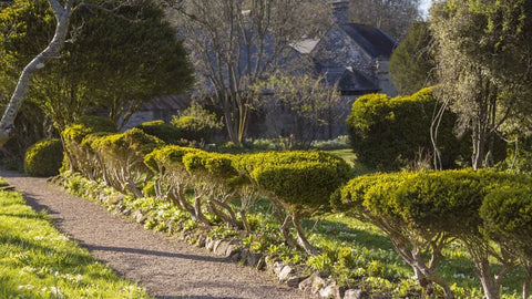 Jardin latéral à Godolphin Estate Cornwall