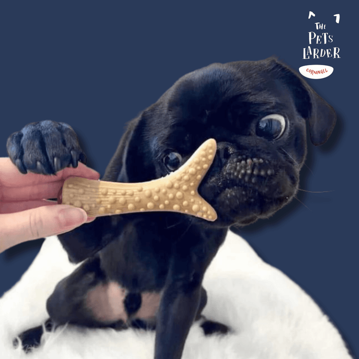 Natural low fat vegetable chews for dogs. A Natural Dog Chew Available At The Pets Larder Natural Pet Shop.