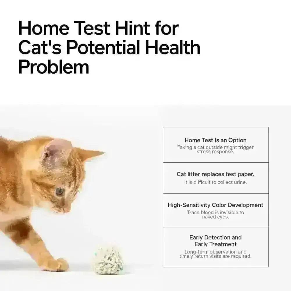 Orange tabby cat playing with knitted toy ball, highlighting Tofu Health Cat Litter with occult blood test particles