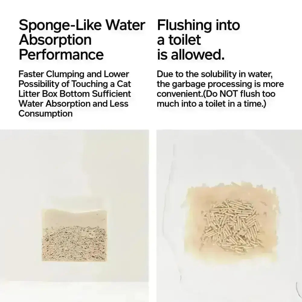 Cat litter bottom material with sponge-like water absorption for occult blood test particles